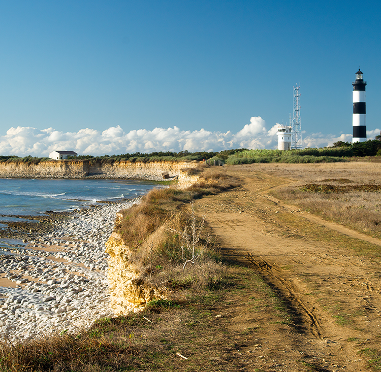Phare au ciel bleu, falaises dorées en été à chassiron, île d'Oléron, France.