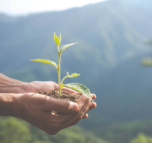 protection environnement et gestion empreinte carbone