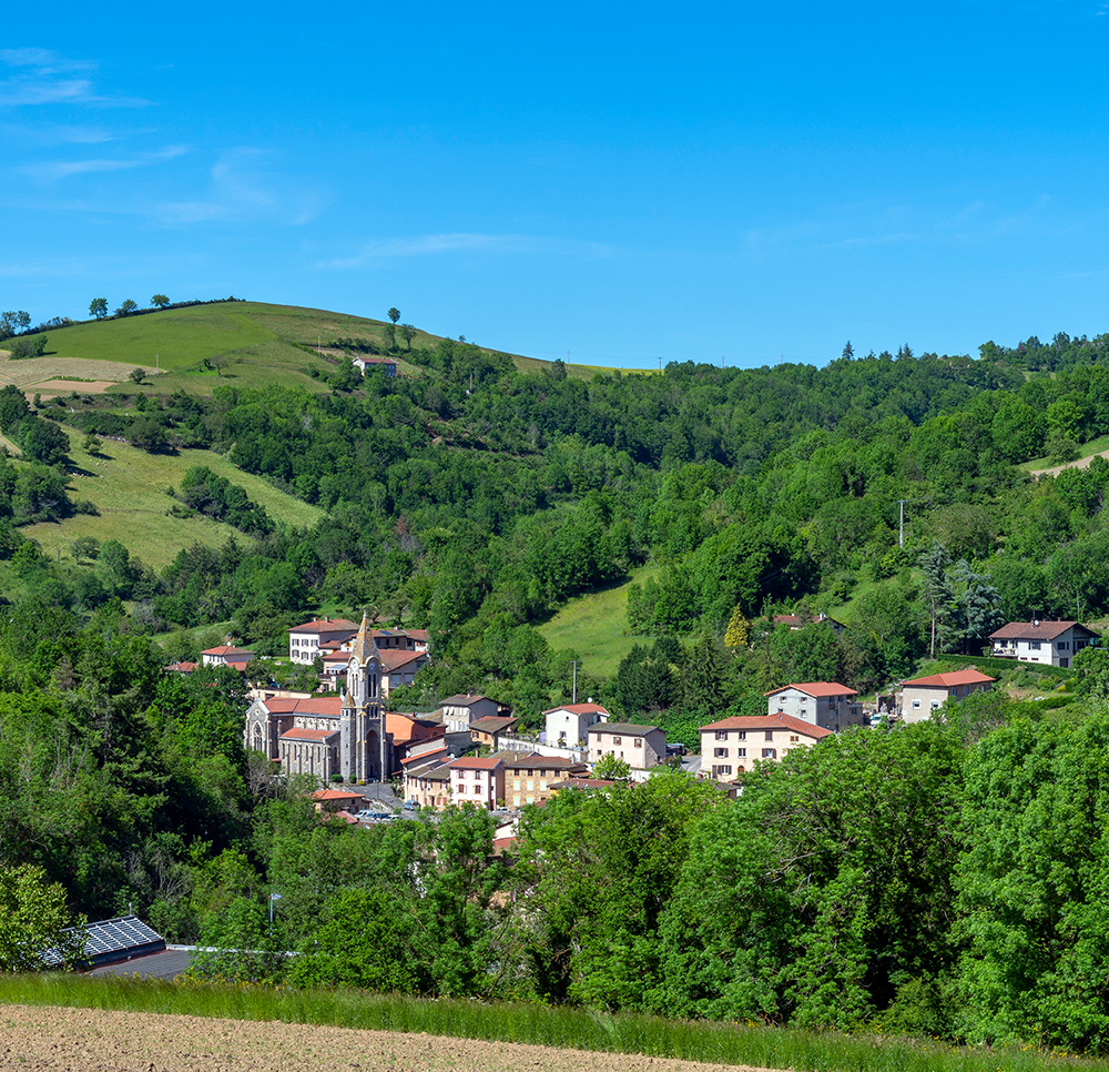 paysage vallonné des Monts du Lyonnais